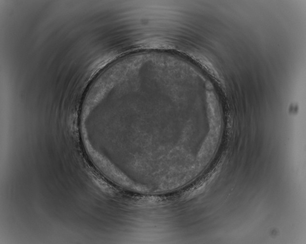 X0000101200881200807251023