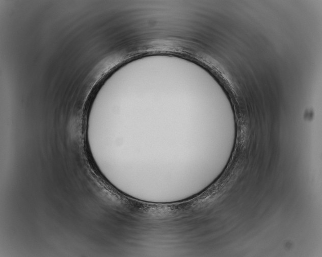 X0000101200882200807251023