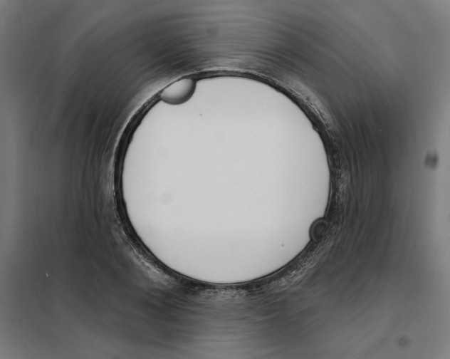 X0000101200884200807251023