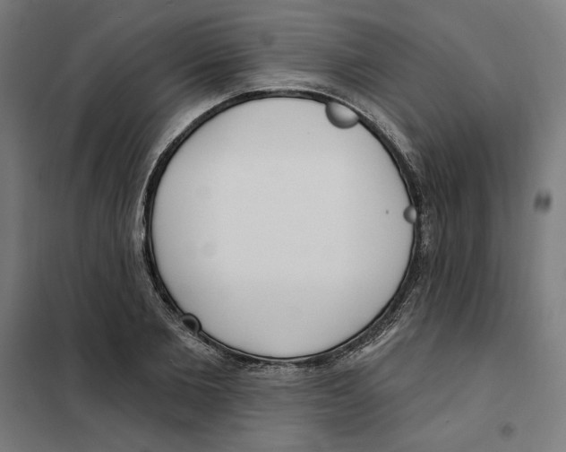 X0000101200885200807251023