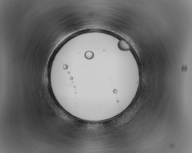 X0000101200887200807251023