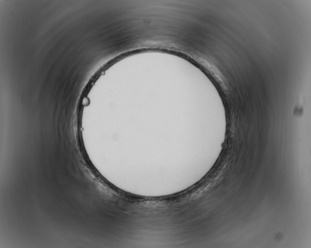 X0000101200888200807251023