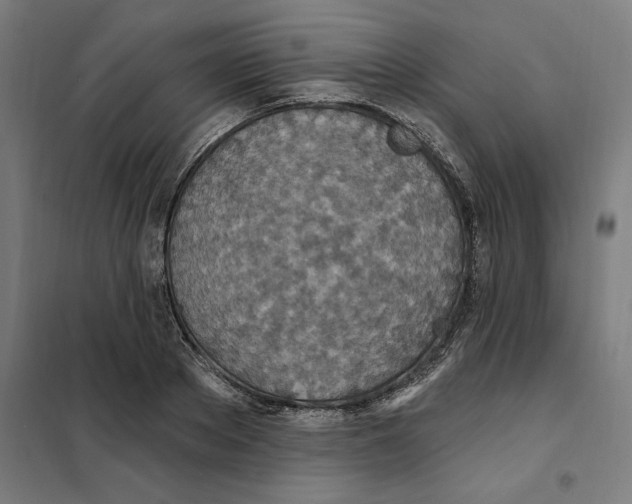 X0000101200889200807251023