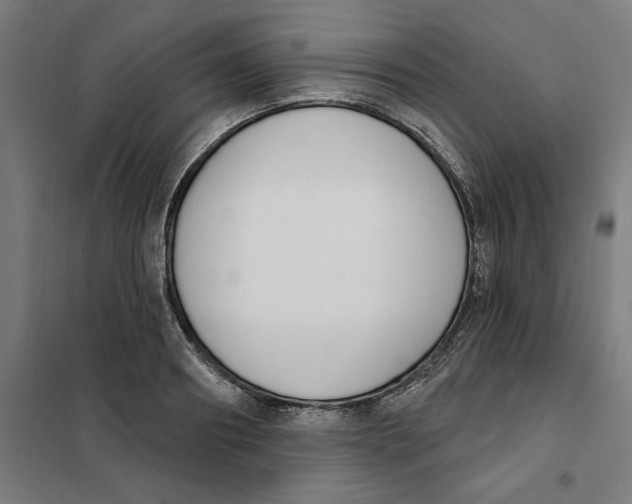 X0000101200890200807251023