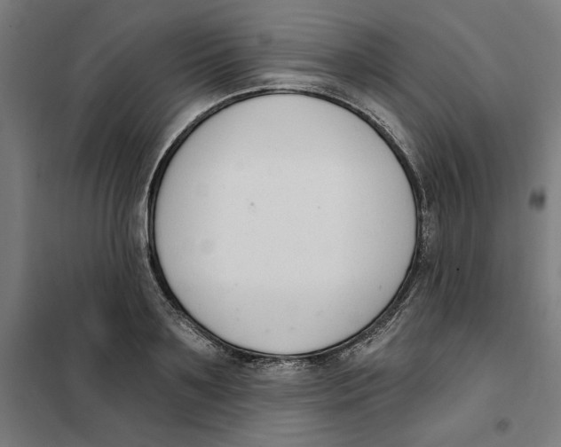 X0000101200891200807251023