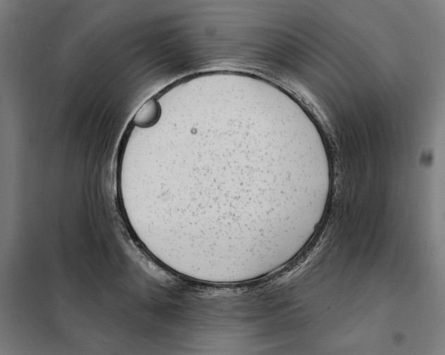 X0000101200892200807251023