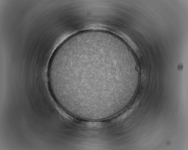 X0000101200893200807251023