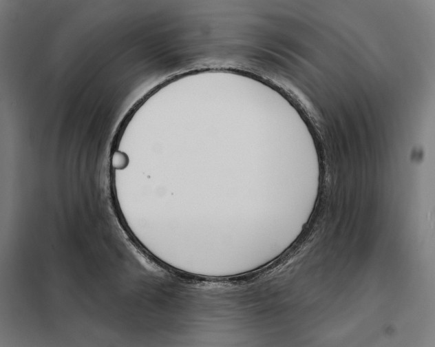 X0000101200894200807251023