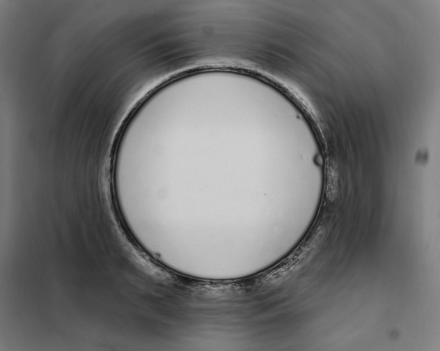 X0000101200895200807251023