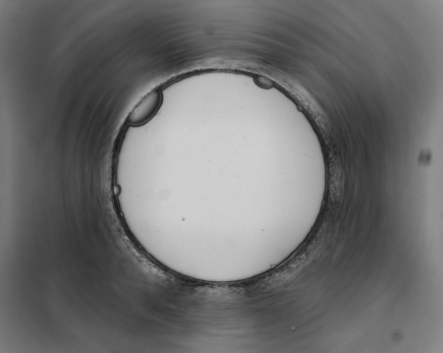 X0000101200896200807251023