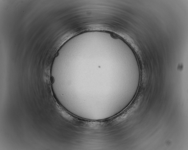 X0000101200897200807251023