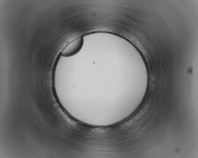 X0000101200898200807251023