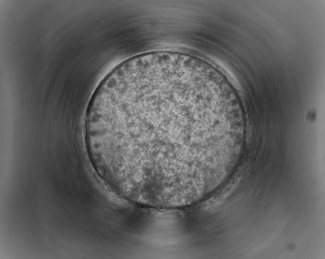 X0000101200899200807251023