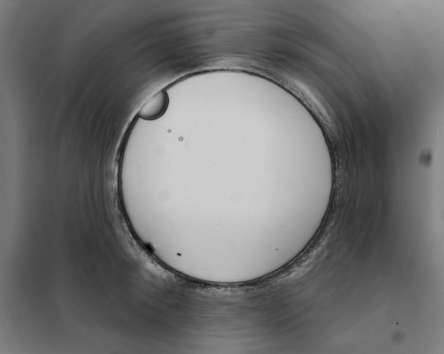 X0000101200900200807251023