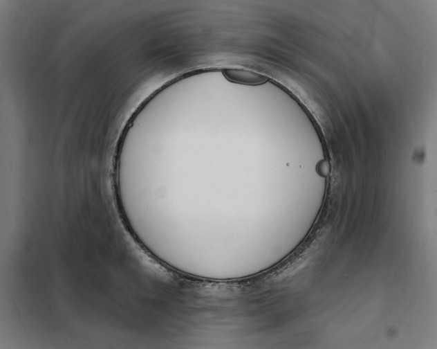 X0000101200901200807251023