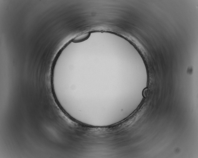 X0000101200902200807251023