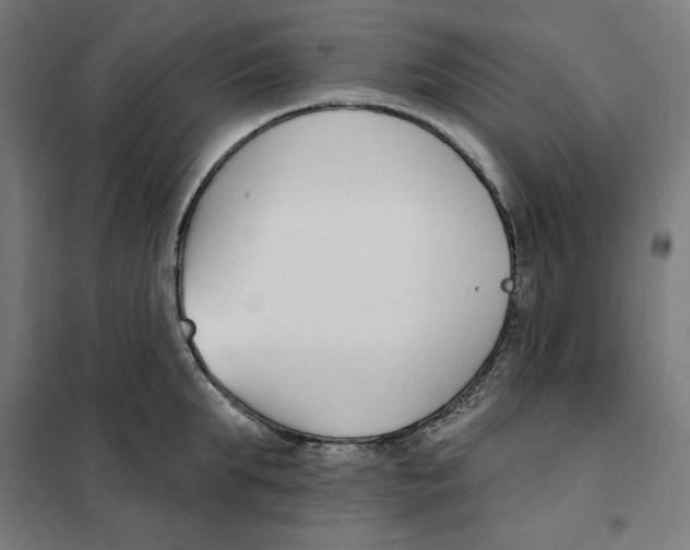 X0000101200903200807251023