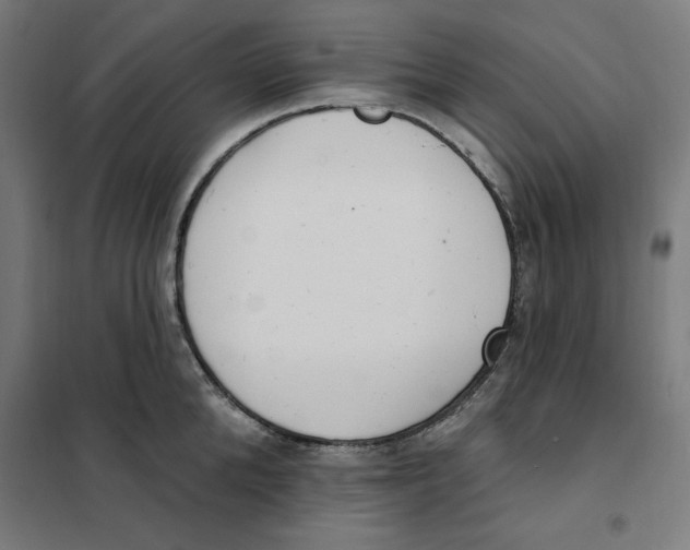 X0000101200904200807251023