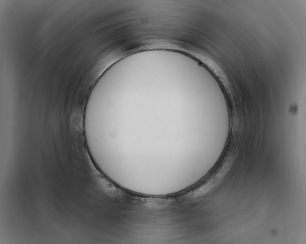 X0000101200905200807251023