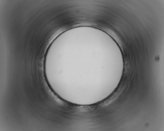 X0000101200906200807251023