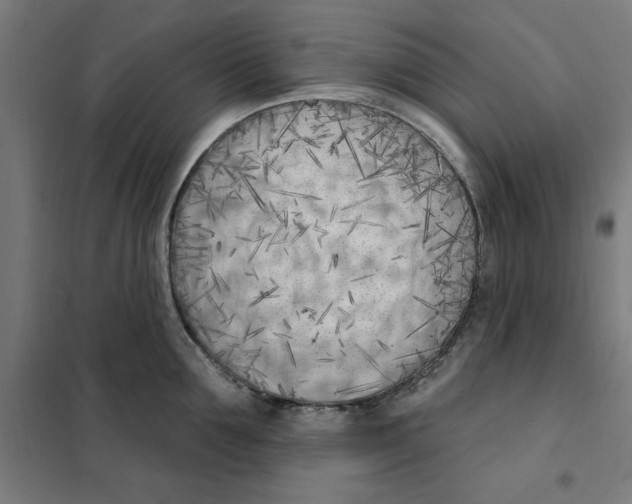 X0000101200907200807251023