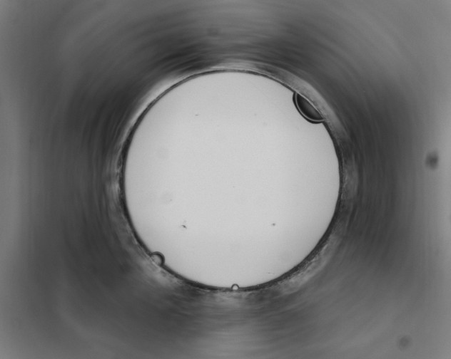 X0000101200908200807251023