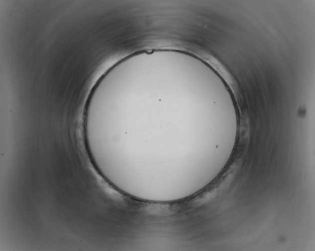 X0000101200909200807251023