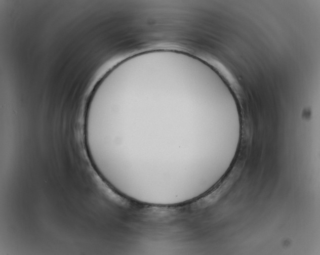 X0000101200910200807251023