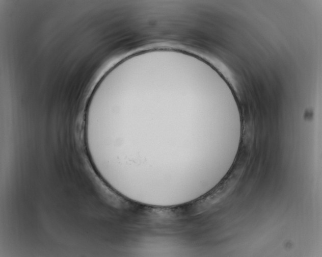 X0000101200911200807251023