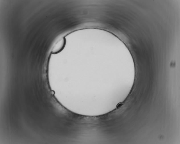 X0000101200912200807251022