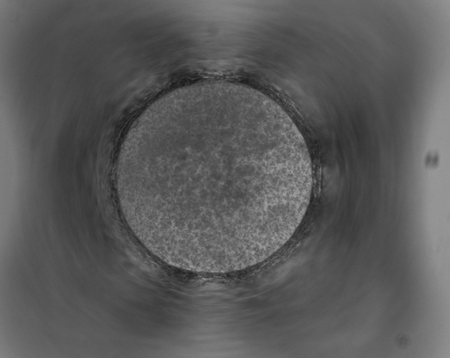 X0000101200913200807251022