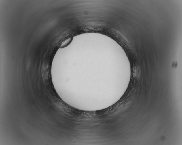 X0000101200915200807251022