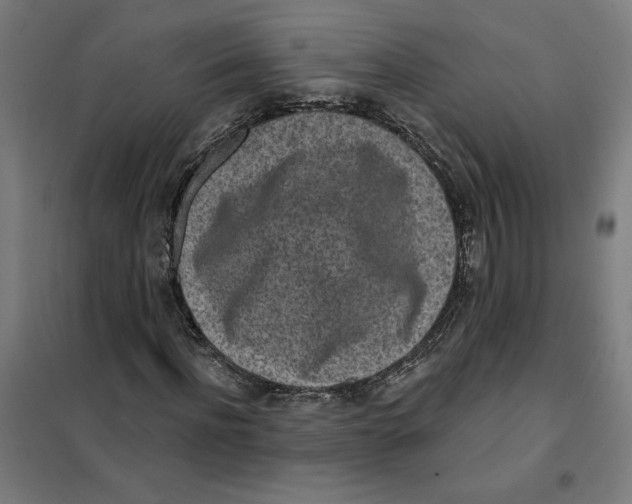 X0000101200916200807251022