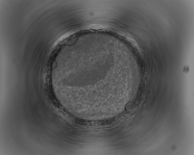 X0000101200920200807251022