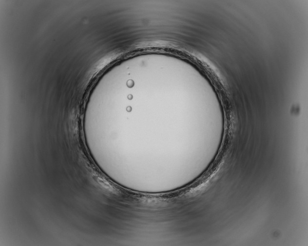 X0000101200921200807251022