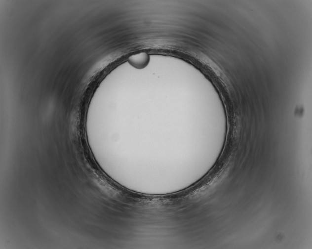 X0000101200922200807251022