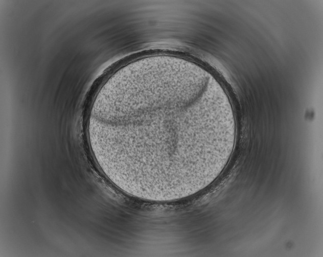 X0000101200923200807251022