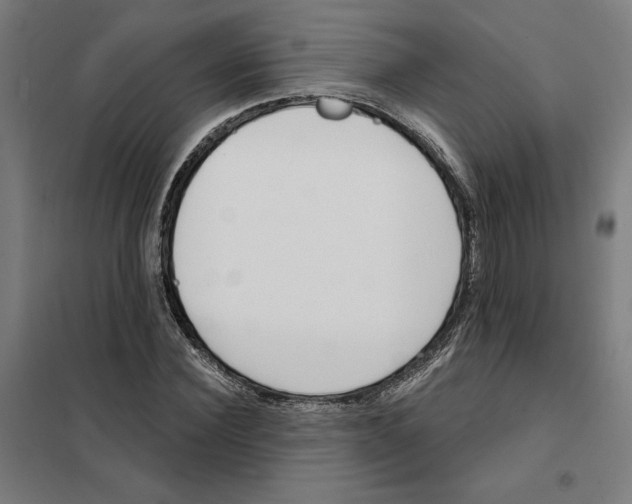 X0000101200924200807251022