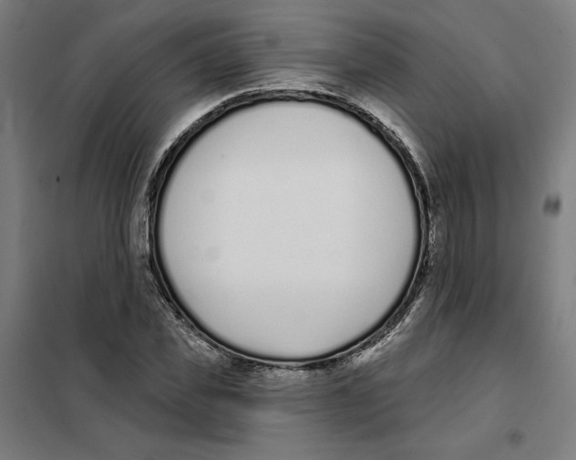 X0000101200925200807251022