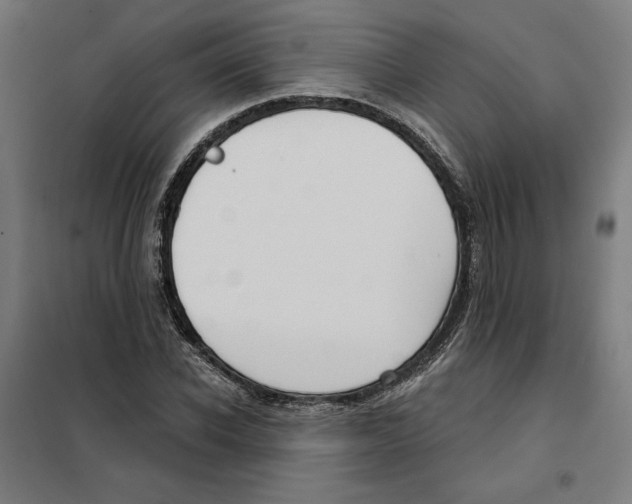 X0000101200926200807251022