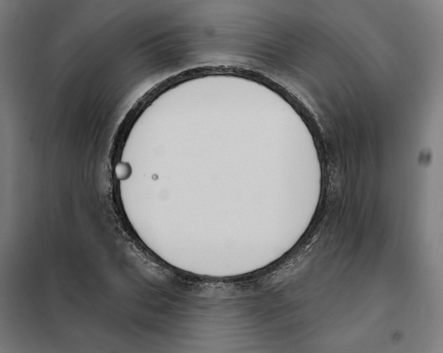 X0000101200927200807251022