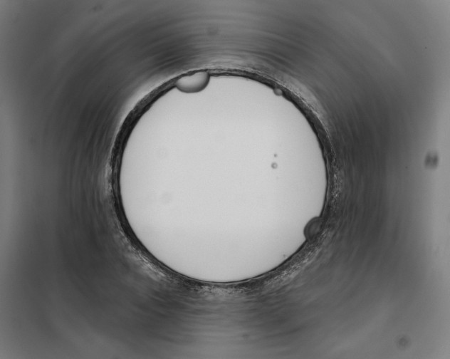 X0000101200928200807251022