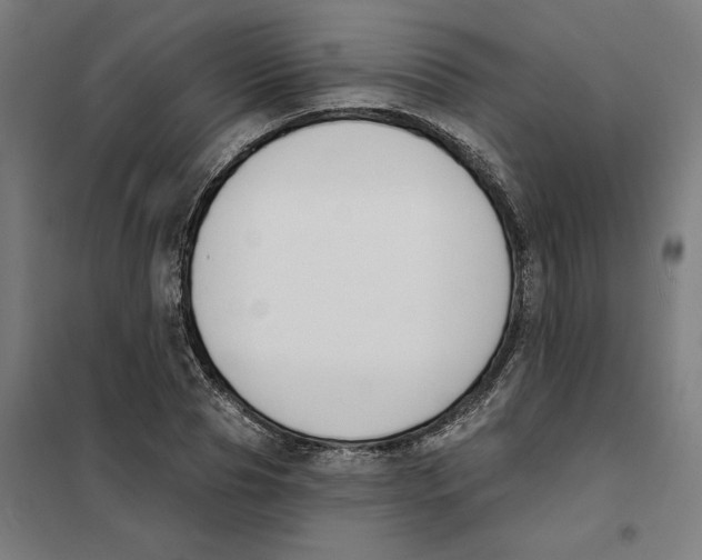 X0000101200929200807251022