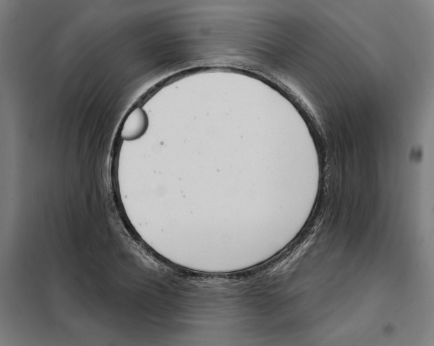 X0000101200932200807251022