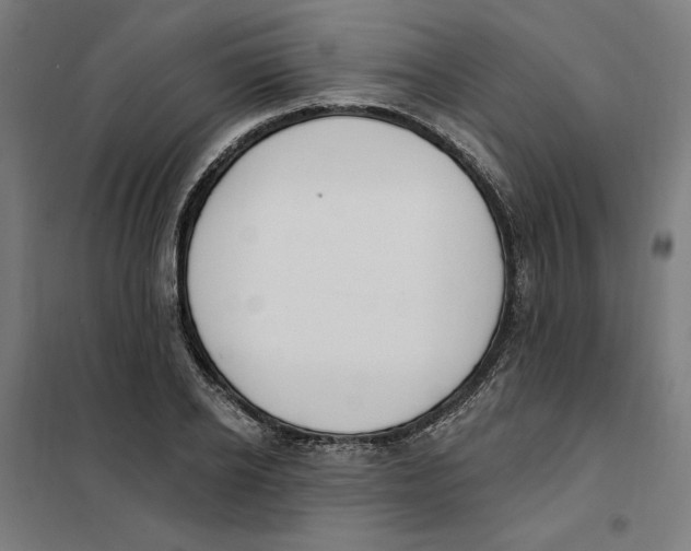 X0000101200934200807251022