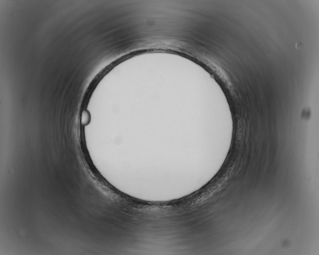 X0000101200936200807251022