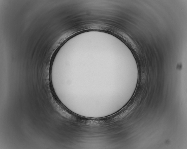 X0000101200938200807251022