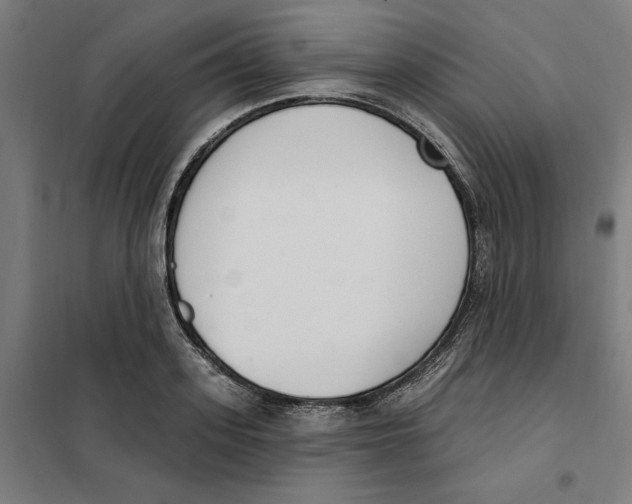 X0000101200939200807251022