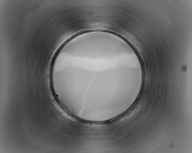 X0000101200941200807251022