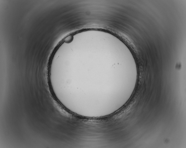 X0000101200942200807251022